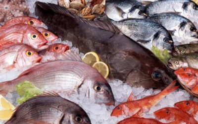 Pescado fresco, que debes de saber