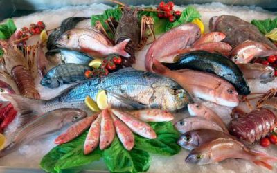 Comer pescado regularmente aporta muchos beneficios