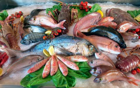 Comer pescado regularmente aporta muchos beneficios