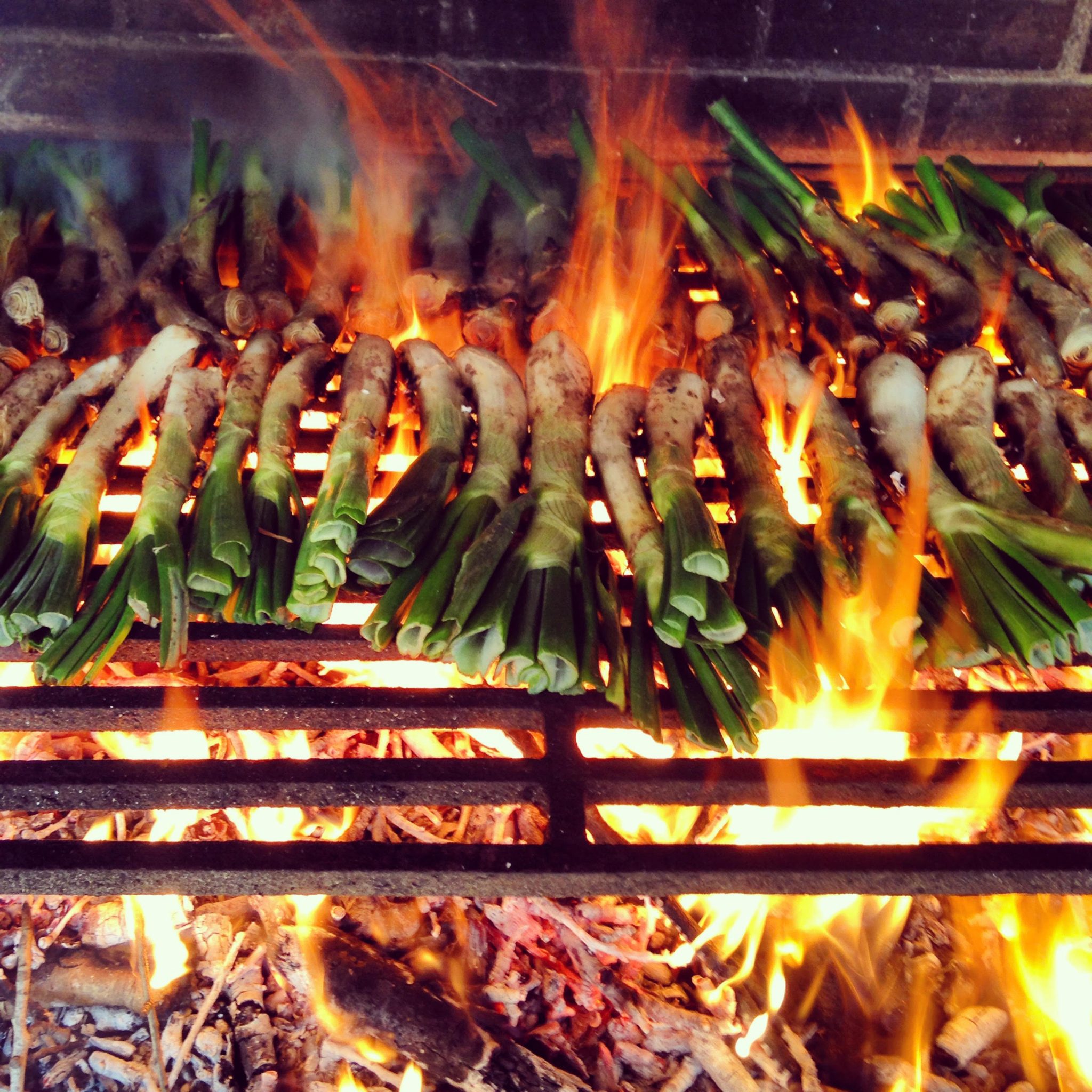 Restaurantes para calçotadas en Tarragona Restaurantes para calçotadas en Tarragona