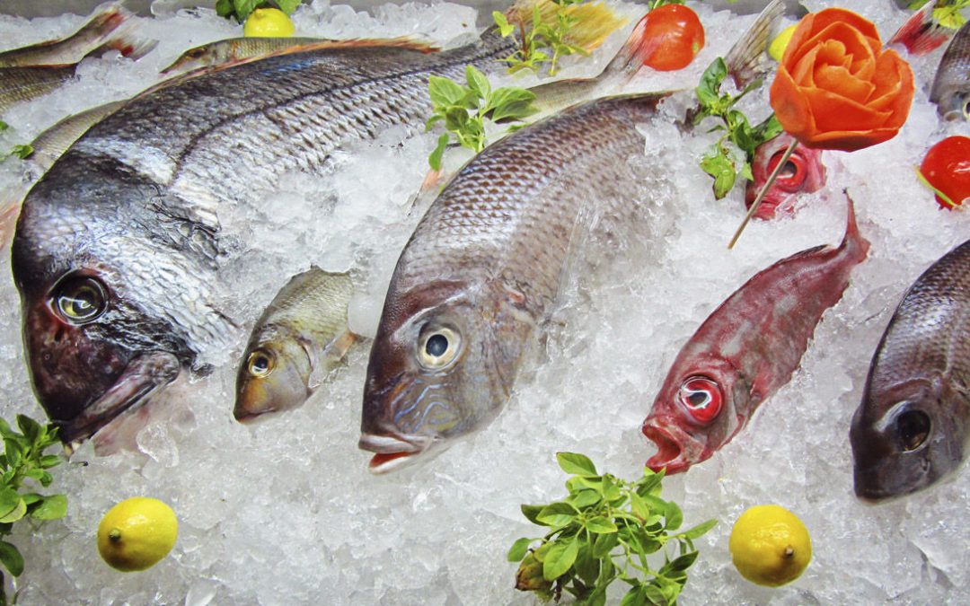Los pescados más valorados del mediterráneo